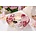 Gilde Dreamlight "Palace Garten" Pink (Ufo Medium)