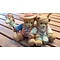 Cherished Teddies Dakota & Zane