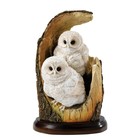 Country Artists Tawny Owlets