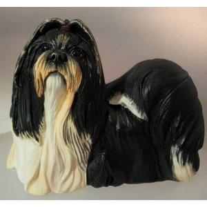 Border Fine Arts Shih Tzu Balck