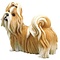 Country Artists Shih Tzu Gold/White