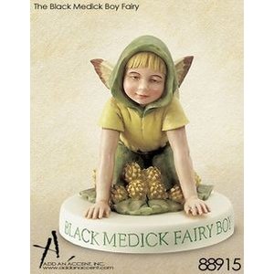 Flower Fairies Black Medick Boy (on Base)