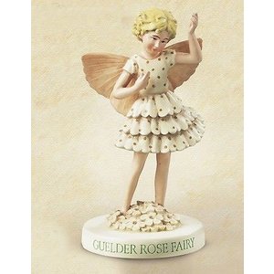 Flower Fairies Guelder Rose