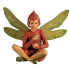 Flower Fairies Lords and Ladies Fairy (in Box) (in Box)