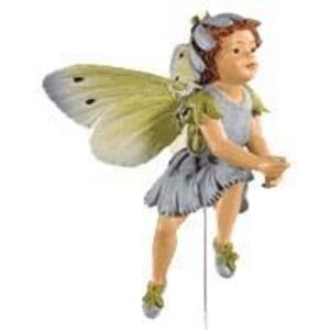 Flower Fairies Chicory Fairy (in Box)