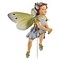 Flower Fairies Chicory Fairy (in Box)