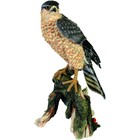 Studio Collection Falcon