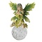 Studio Collection Fairy with Frog (Globe)