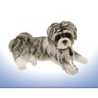 Leonardo Collection Shih Tzu