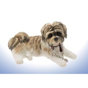 Leonardo Collection Shih Tzu