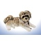 Leonardo Collection Shih Tzu