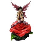 Studio Collection Rose Fairy