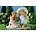 Cherished Teddies For my Mum