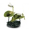 Disney WDCC Fantasia Fairies