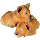 Studio Collection Lion Cubs