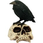 Studio Collection Raven on Skull