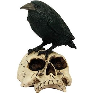 Studio Collection Raven on Skull