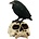 Studio Collection Raven on Skull