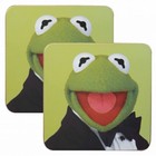 Disney Best Buddies Kermit Coaster