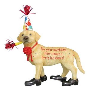 Westland (Happy Birthday) Labrador Happy Birthday