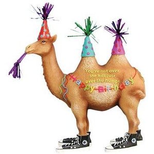 Westland (Happy Birthday) Camel Happy Birthday