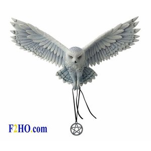 Anne Stokes Awaken Your Magic
