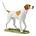 Border Fine Arts Foxhound (Tan & White)