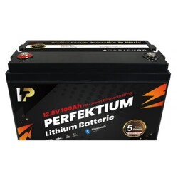 Perfektium PB-SERIE lithiumbatterij LiFePO4 12,8V 100Ah Smart BMS met Bluetooth