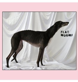 Castle Face Records Flat Worms - Flat Worms