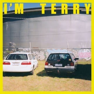 Upset The Rhythm Terry - I'm Terry (Yellow Vinyl)