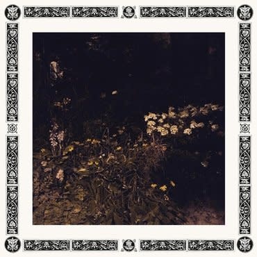 W25th Sarah Davachi - Pale Bloom