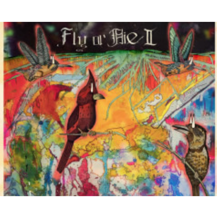 The Free Jazz Collective: Jaimie Branch - Fly Or Die II: Bird Dogs Of  Paradise (International Anthem, 2019) *****