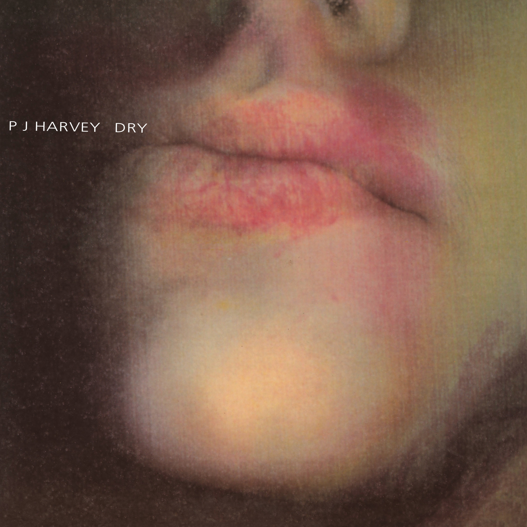 Too Pure PJ Harvey - Dry