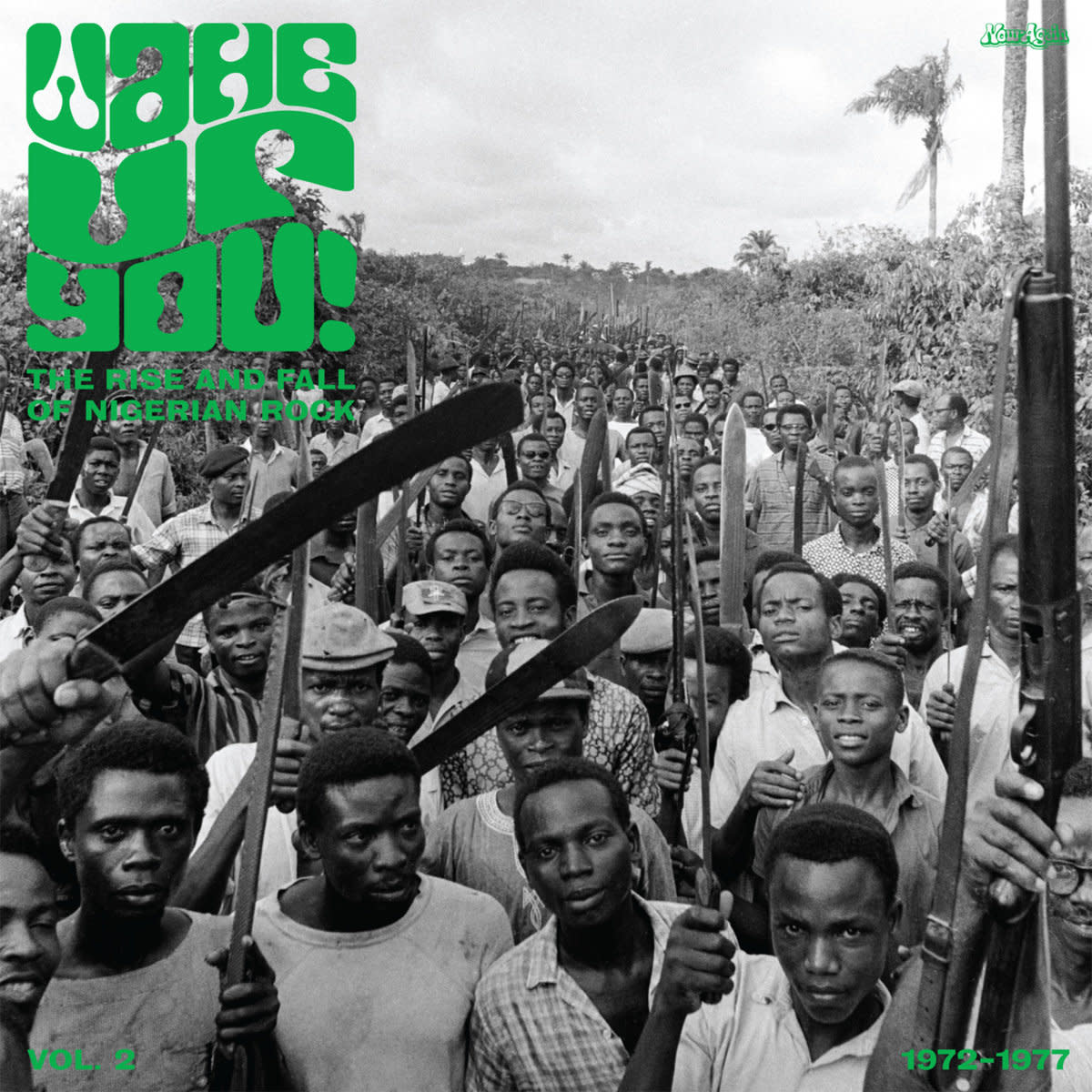 Now-Again Records Various - Wake Up You! Vol. 2: The Rise & Fall Of Nigerian Rock Music (1972-1977)