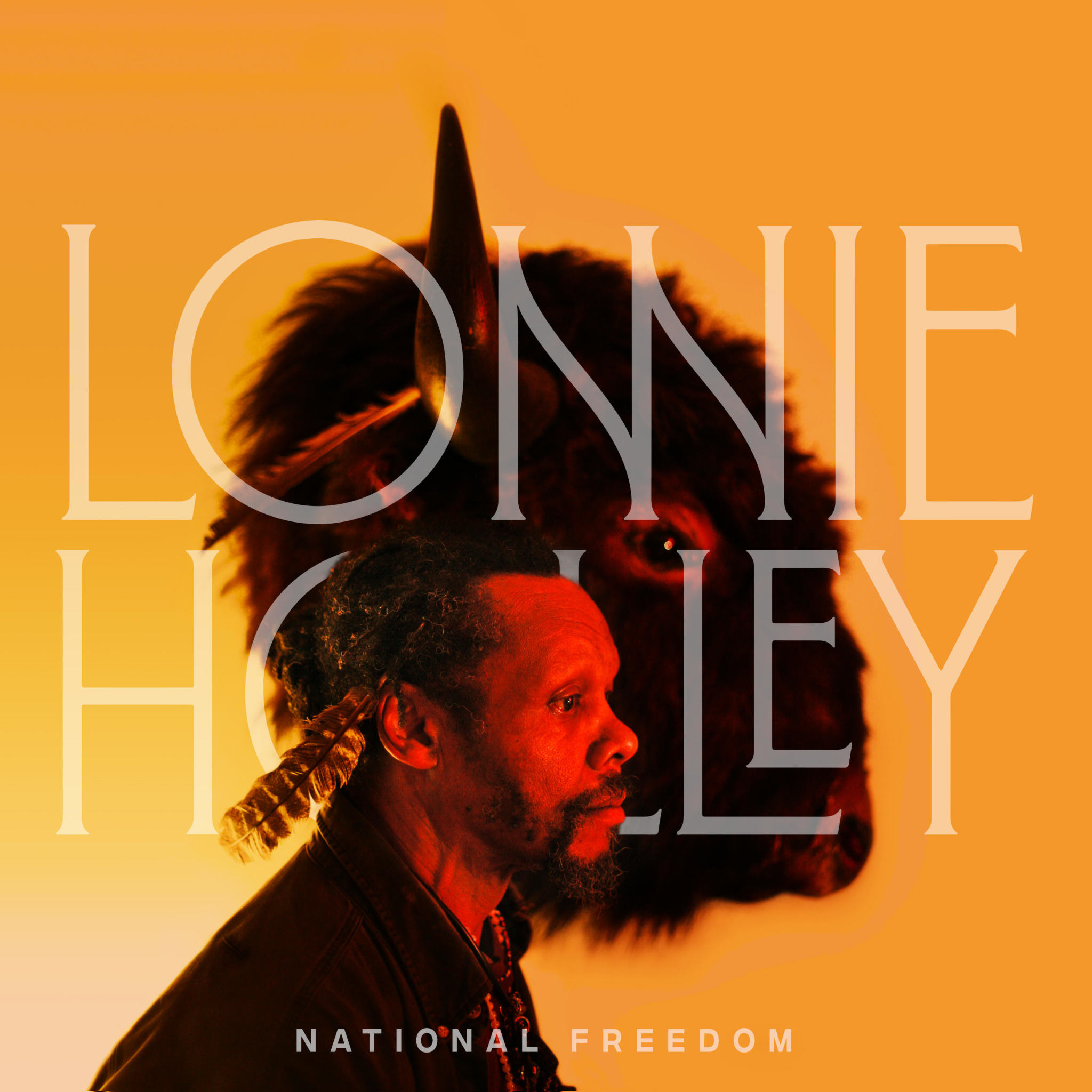 Jagjaguwar Lonnie Holley - National Freedom