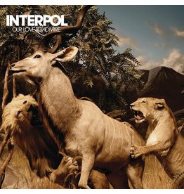 Matador Records Interpol - Our Love to Admire