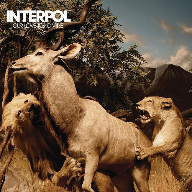 Matador Records Interpol - Our Love to Admire