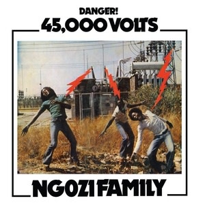 Now-Again Records Ngozi Family - 45,000 Volts