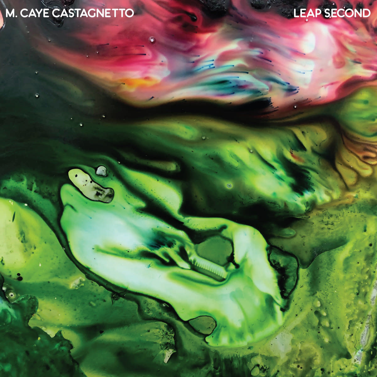 Castle Face Records M. Caye Castagnetto - Leap Second