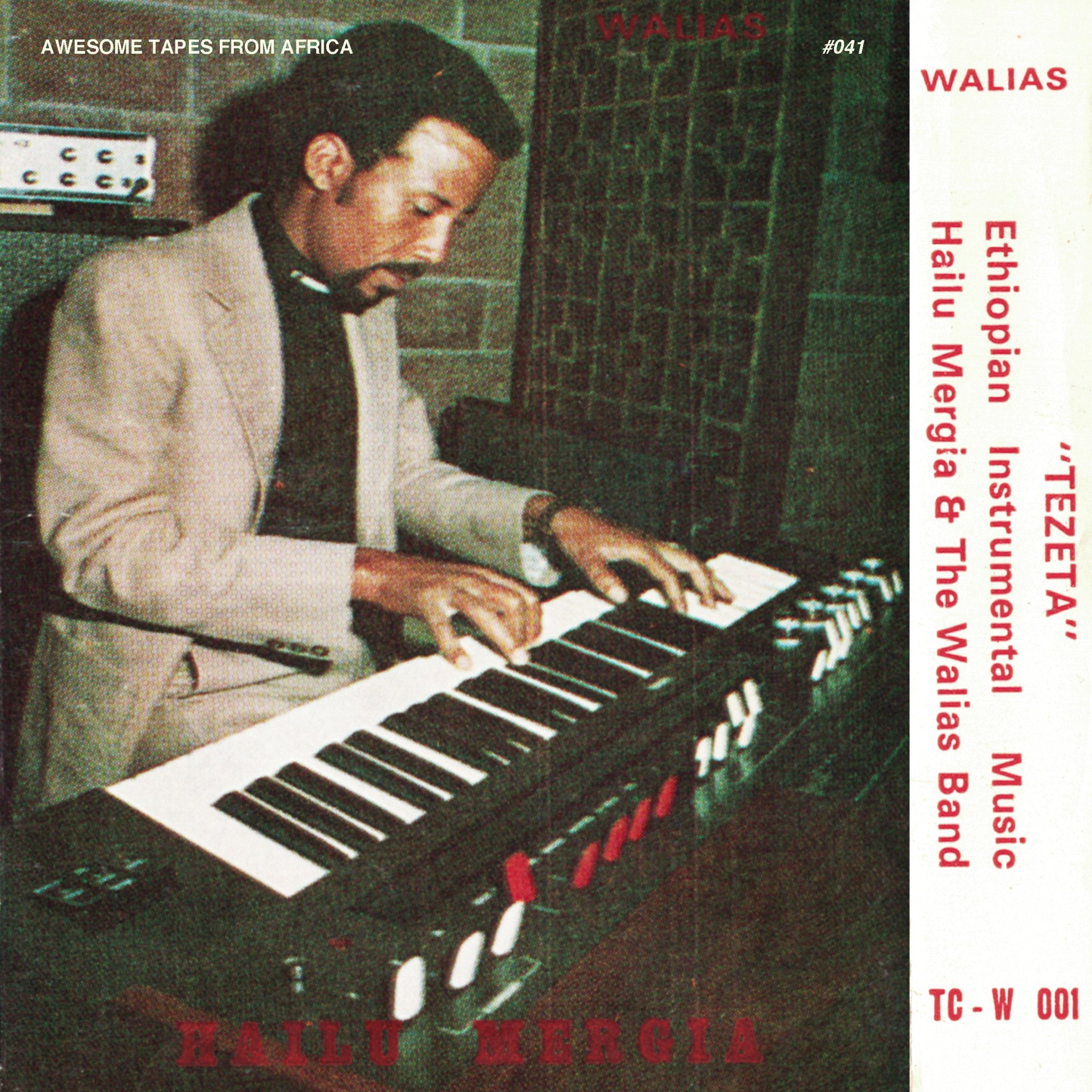 Awesome Tapes From Africa Hailu Mergia and the Walias Band – Tezeta