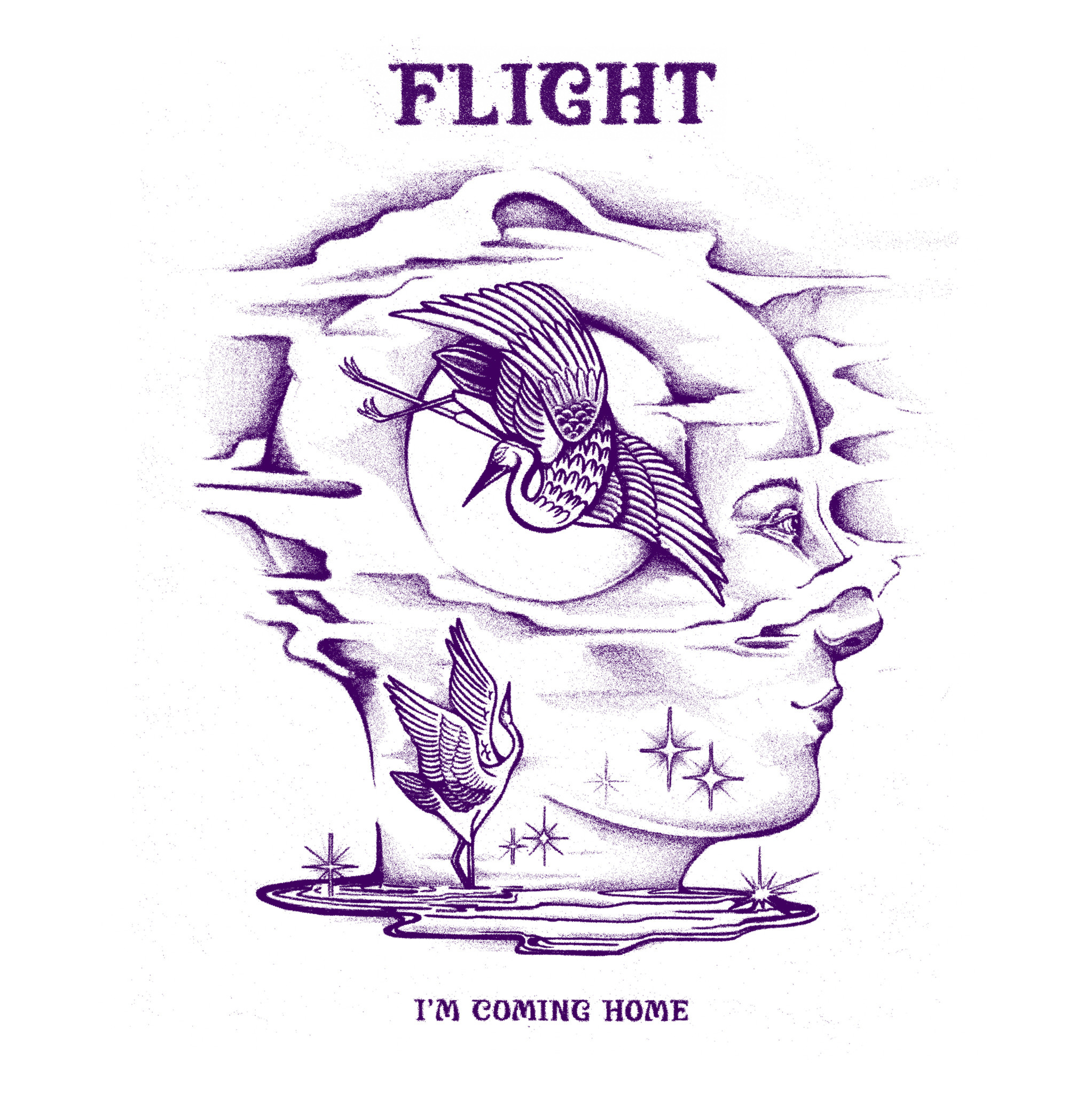 Forager Records Flight - I'm Coming Home