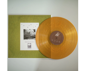 Tortoise - Rhythms, Resolutions & Clusters (Orange Vinyl) at STPR