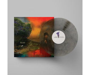 Sharon Van Etten - We've Been Going About (Smoke Vinyl