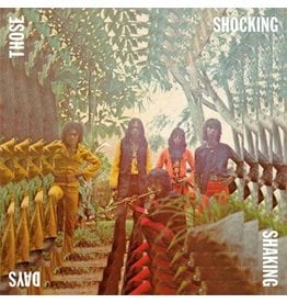 Now-Again Records Various - Those Shocking Shaking Days (Repress)