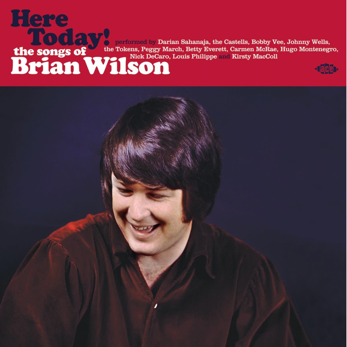 Ace Records Various - Here Today! The Songs Of Brian Wilson