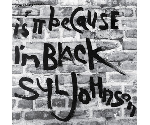 Syl Johnson - Is It Because I'm Black at STRANGER THAN PARADISE