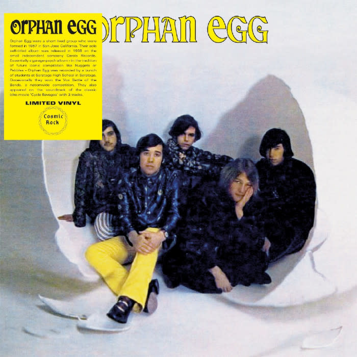 Cosmic Rock Orphan Egg - Orphan Egg