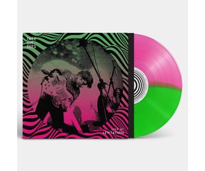 the-reverberation-appreciation