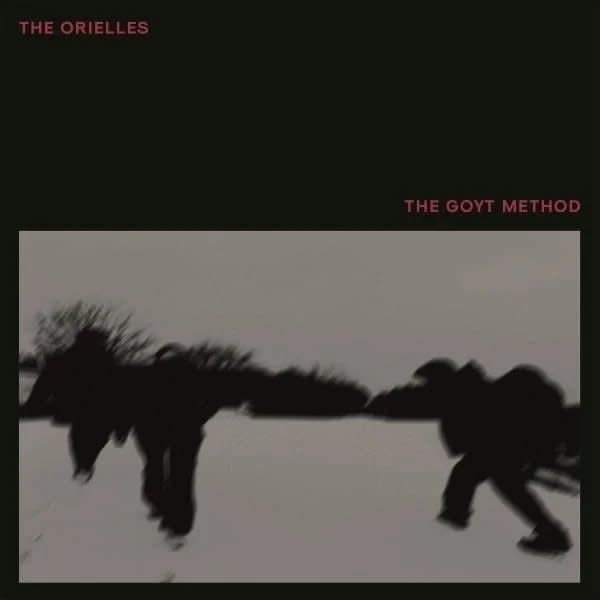 Heavenly Recordings The Orielles - The Goyt Method