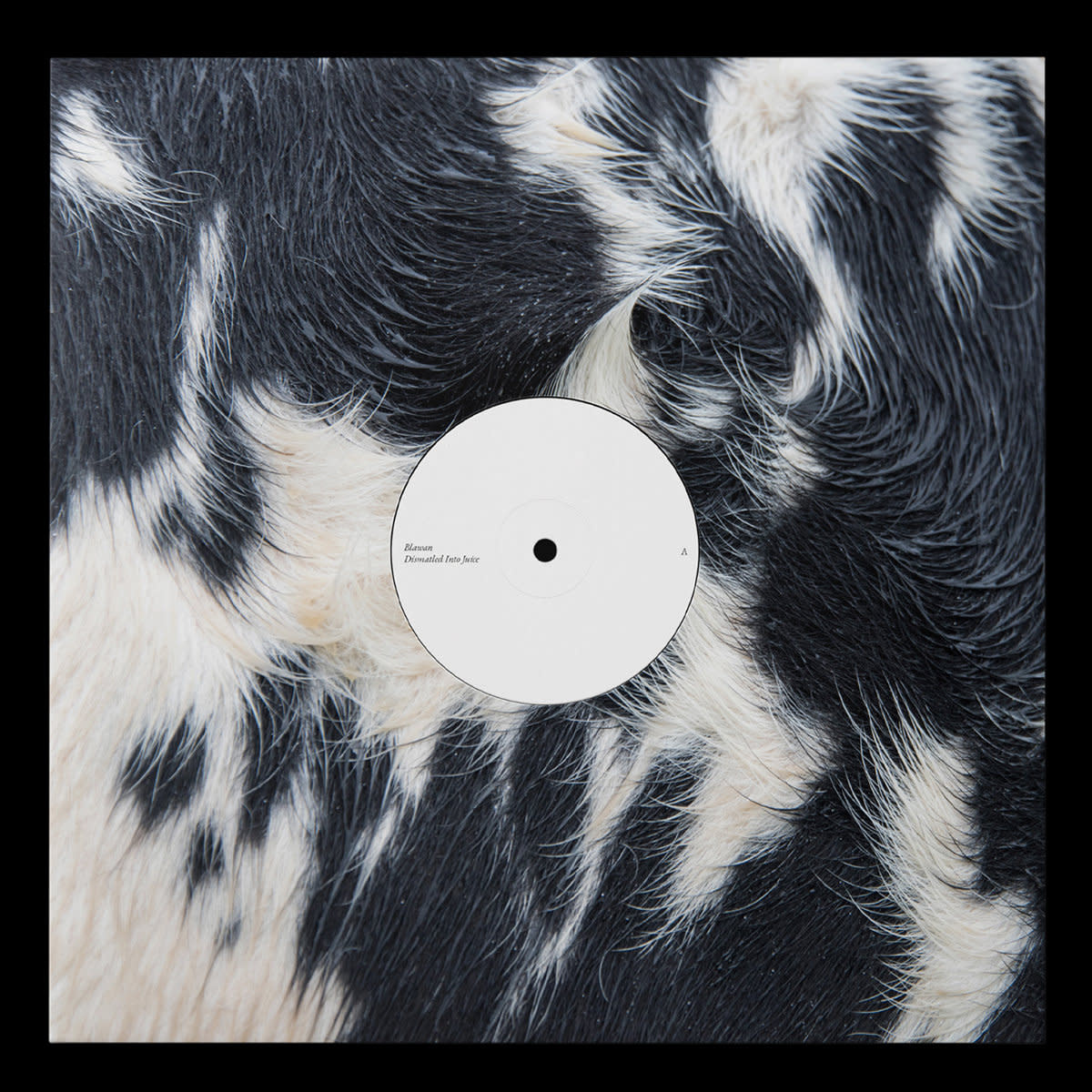 XL Recordings Blawan - Dismantled Into Juice